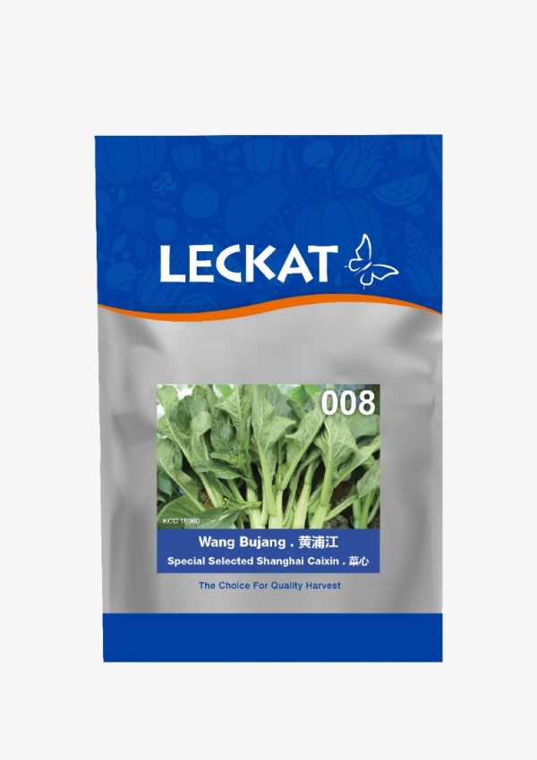Caixin - Wang Bujang 008 (500g)