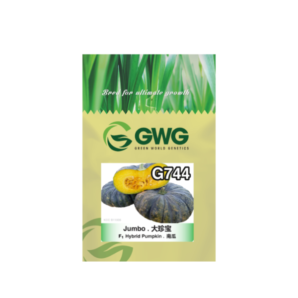 Pumpkin - Jumbo G744 (20g)
