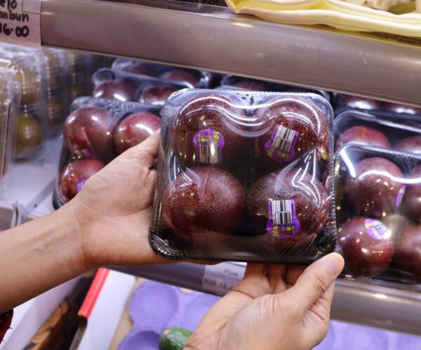 Plum (Croc Egg) / pkt - Image 2