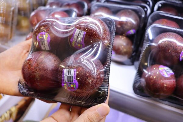 Plum (Croc Egg) / pkt